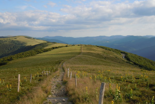 Hautes Chaumes au ROthenbach dans les Hautes Vosges (2019)