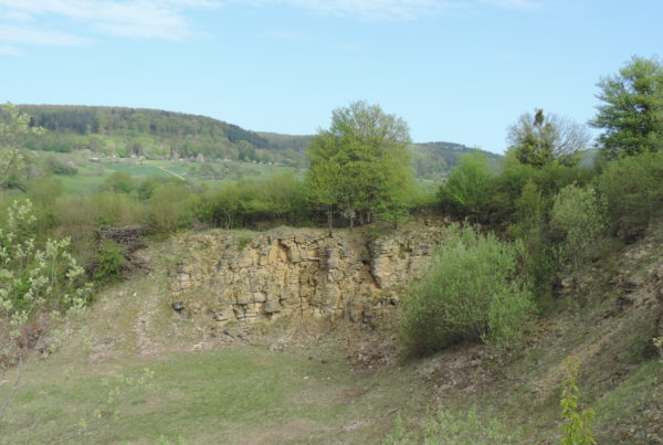 Ancienne carrière à Lembach (2020)