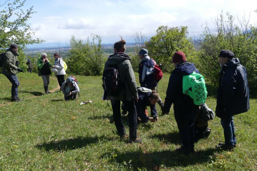 Bénévoles sur un site naturel réalisant une prospection naturaliste